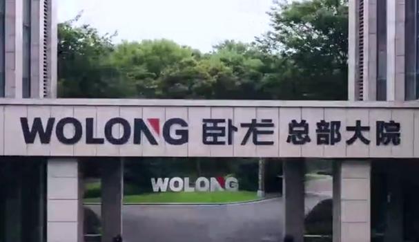 臥龍電氣集團(tuán)股份有限公司，臥龍電氣驅(qū)動(dòng)集團(tuán)股份有限公司